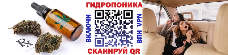 mega вход  Няндома  Cannafood конопля 