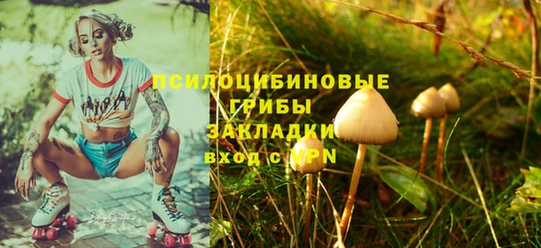ALPHA PVP Беломорск