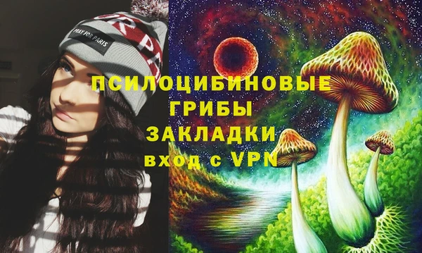марки lsd Белокуриха