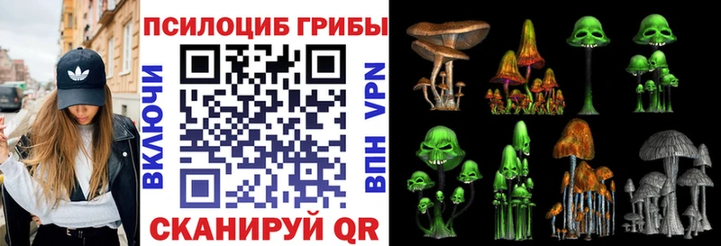 цена Няндома Галлюциногенные грибы Cubensis